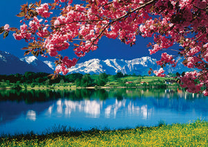Full Diamond Painting kit - Snow mountain scenery