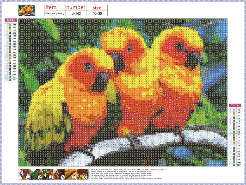 Full Diamond Painting kit - Cute parrots