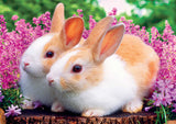 Full Diamond Painting kit - Cute rabbits