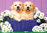 Full Diamond Painting kit - Cute little golden retriever