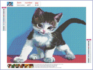Full Diamond Painting kit - Cute kitten