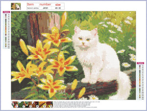 Full Diamond Painting kit - Cute cat