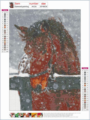 Full Diamond Painting kit - Horse in snow