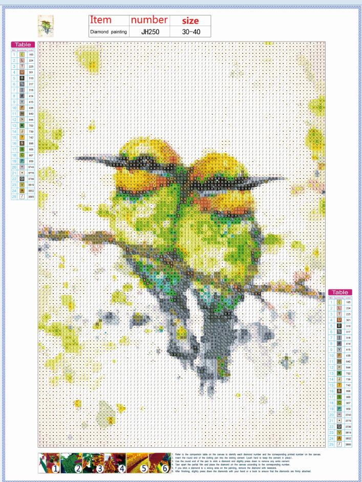 Full Diamond Painting kit - Watercolor hummingbird