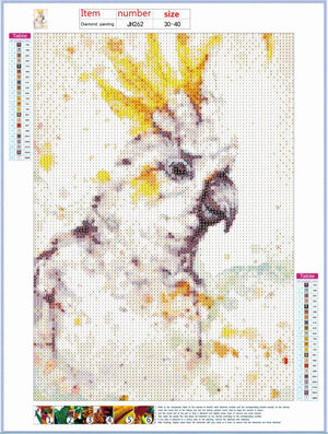Full Diamond Painting kit - Watercolor parrot