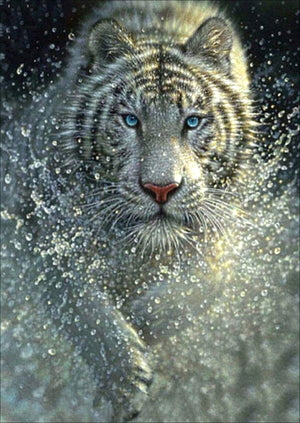 Full Diamond Painting kit - Tiger