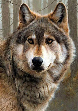 Full Diamond Painting kit - A wolf