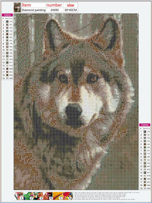 Full Diamond Painting kit - A wolf