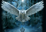 Full Diamond Painting kit - Cool eagle