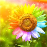 Full Diamond Painting kit - Rainbow sunflower