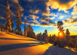 Full Diamond Painting kit - Warm winter