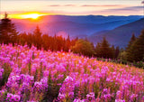 Full Diamond Painting kit - Beautiful garden scenery