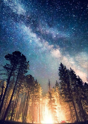 Full Diamond Painting kit - Shining forest