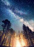 Full Diamond Painting kit - Shining forest
