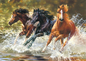 Full Diamond Painting kit - Horse herd