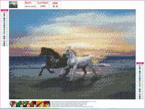Full Diamond Painting kit - Black and white horses
