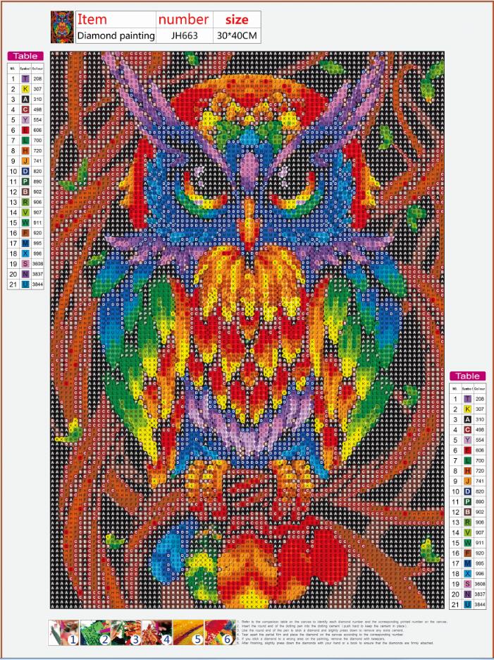 Full Diamond Painting kit - Owl