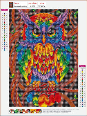 Full Diamond Painting kit - Owl