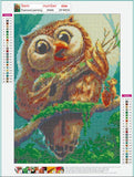 Full Diamond Painting kit - Cute owl