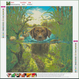 Full Diamond Painting kit - Swimming dog