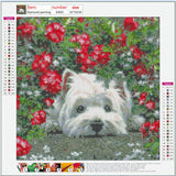 Full Diamond Painting kit - West Highland White Terrier