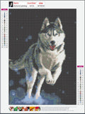 Full Diamond Painting kit - Husky