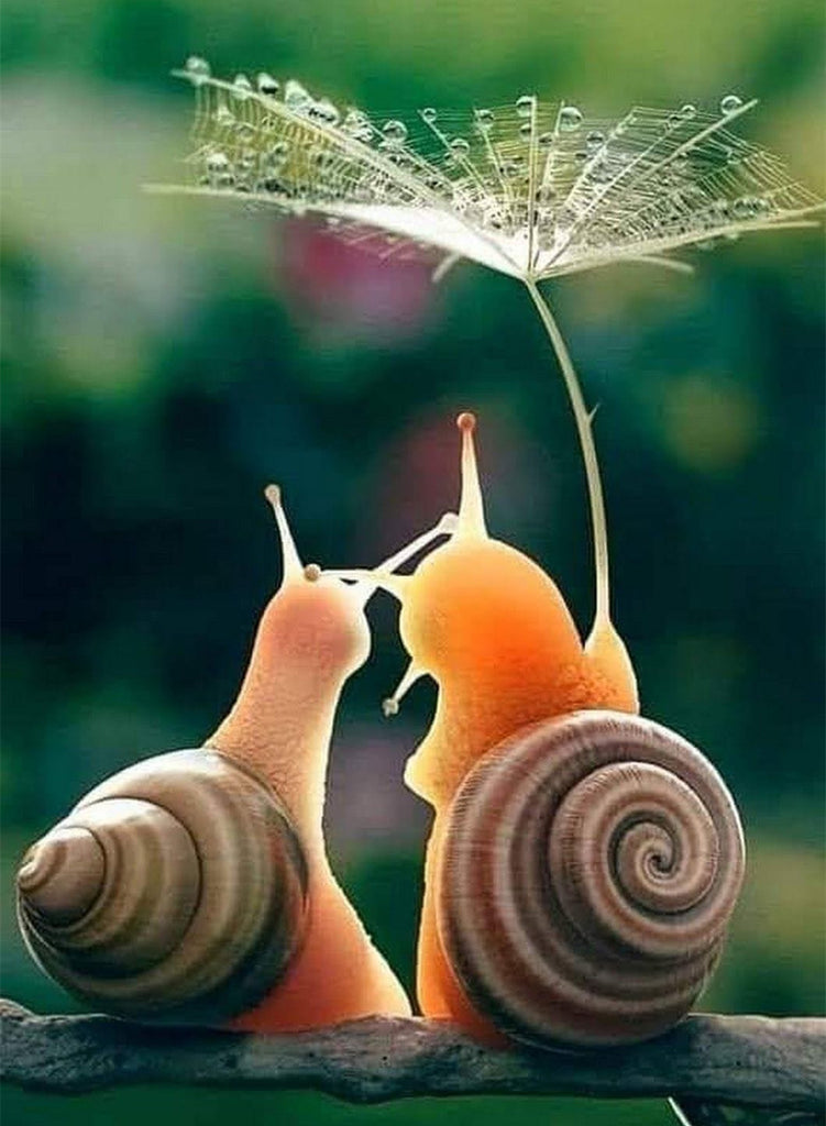 Full Diamond Painting kit - Romantic snails