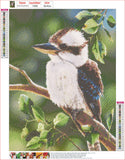 Full Diamond Painting kit - Laughing Kookaburra