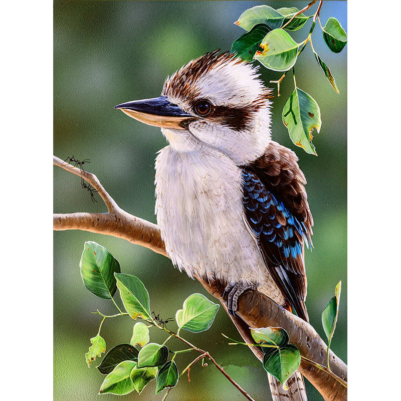 Full Diamond Painting kit - Laughing Kookaburra