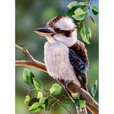 Full Diamond Painting kit - Laughing Kookaburra