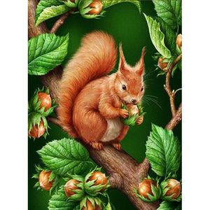 Full Diamond Painting kit - Squirrel