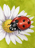 Full Diamond Painting kit - Firefly on flower