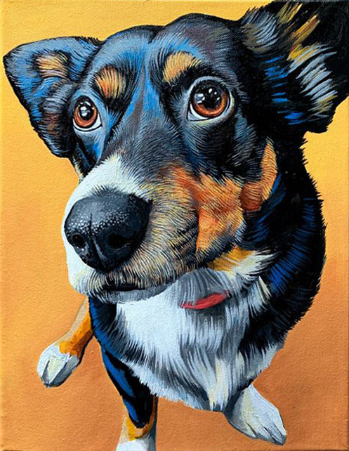 Full Diamond Painting kit - welsh corgi pembroke