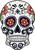 Full Diamond Painting kit - Skull