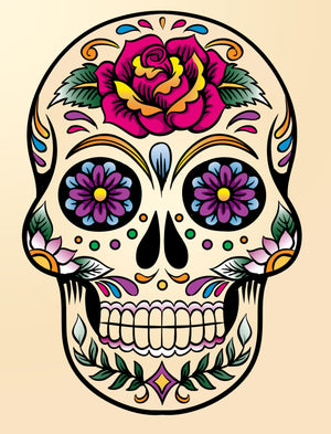 Full Diamond Painting kit - Skull