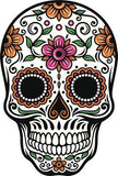 Full Diamond Painting kit - Skull