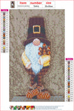 Full Diamond Painting kit - Christmas gnome and bird