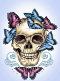 Full Diamond Painting kit - Skull and butterfly