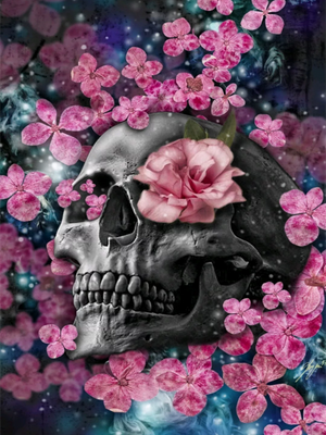 Full Diamond Painting kit - Skull and flowers