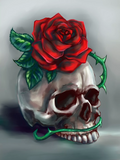 Full Diamond Painting kit - Skull and Rose