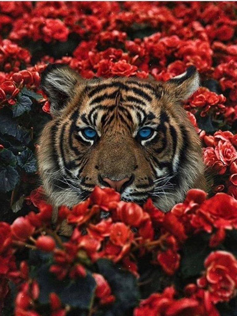 Full Diamond Painting kit - Tiger on the flowers