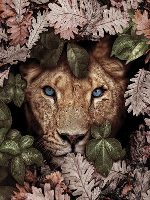 Full Diamond Painting kit - Lion on the flowers