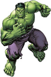 Full Diamond Painting kit - Hulk