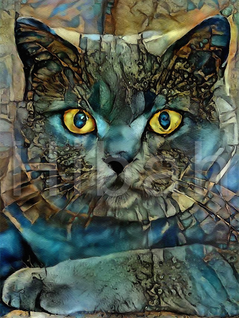 Full Diamond Painting kit - Cat