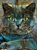Full Diamond Painting kit - Cat
