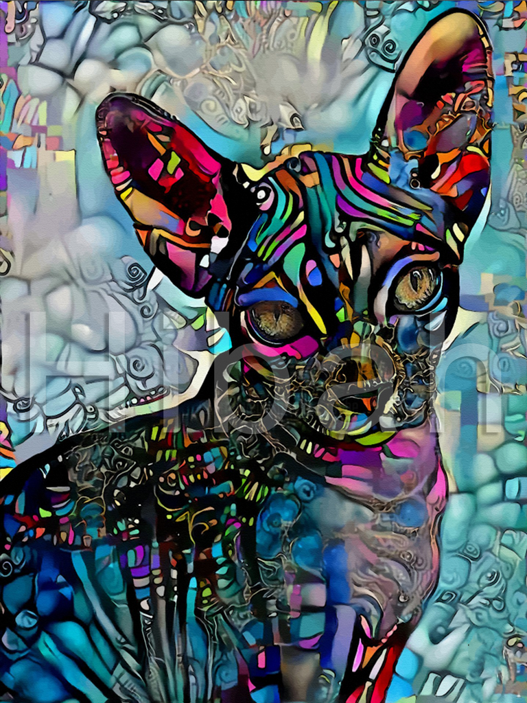 Full Diamond Painting kit - Cat
