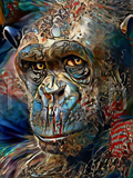 Full Diamond Painting kit - chimpanzee
