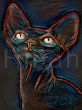 Full Diamond Painting kit - Hairless cat