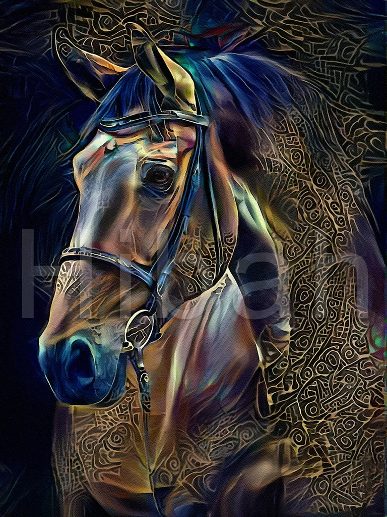 Full Diamond Painting kit - Horse