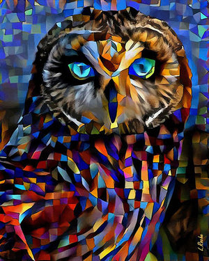 Full Diamond Painting kit - Owl